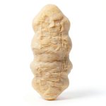 Sheepskin Ranch Medical Mattress Pad Genuine Wool Comfort-0